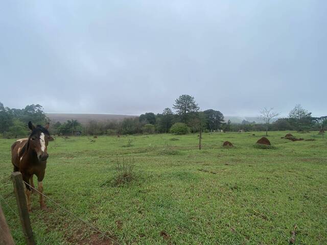 #TR13 - Área para Venda em Botucatu - SP - 2